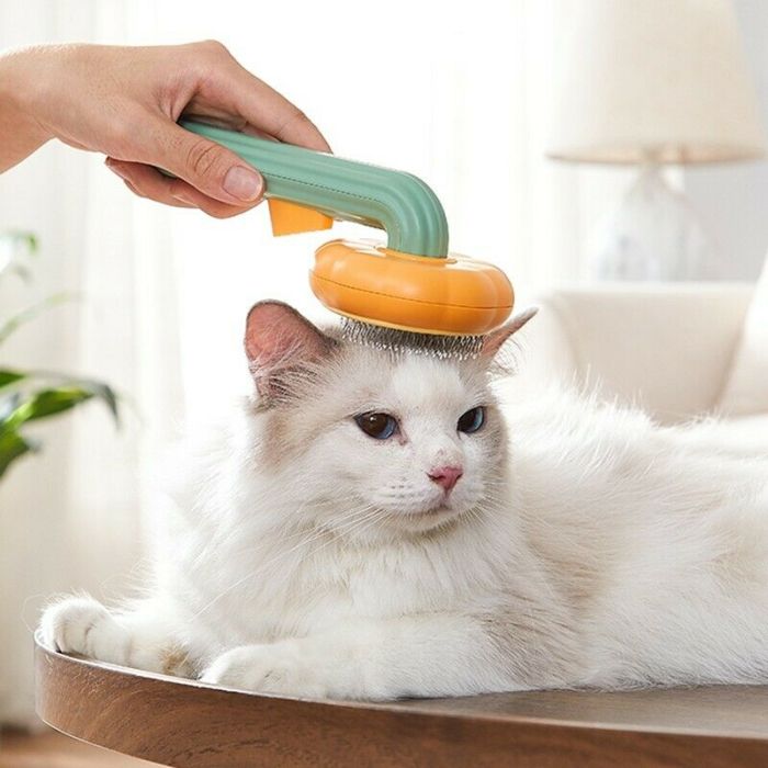 Pumpkin Shaped Pet Comb