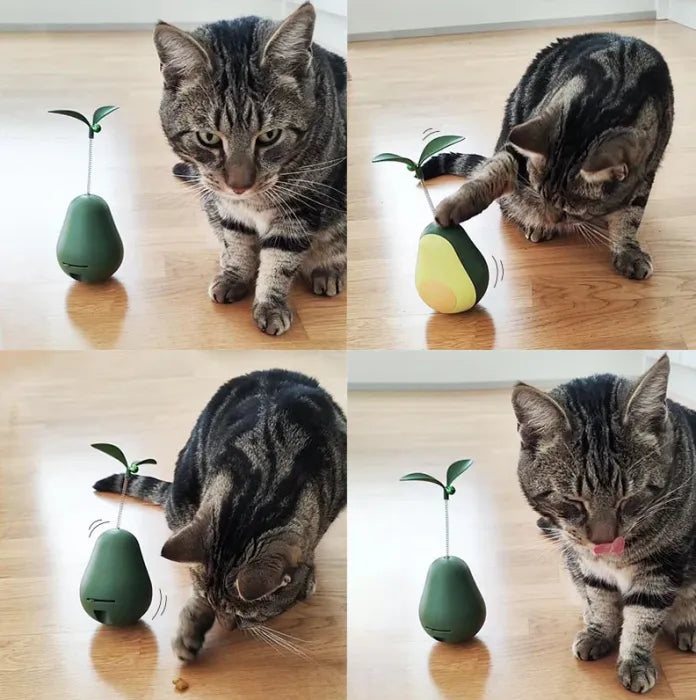 Avocado Treat Dispensing Catnip Toy